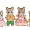 By Category Sylvanian Families | Sylvanian Families - Striped Cat Family