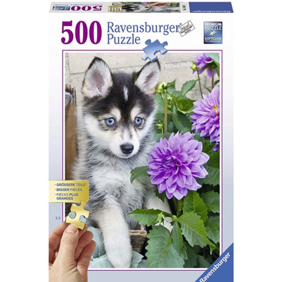 By Category Ravensburger | Ravensburger Cute Husky Dog Puzzle (500 Pieces)