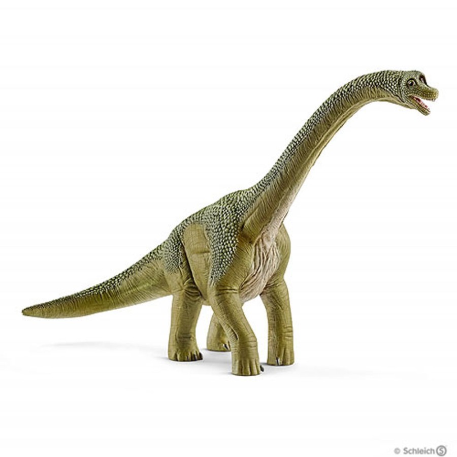 By Category Schleich | Schleich Dinosaur And Prehistoric Animal - Brachiosaurus (14581)