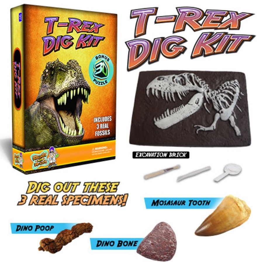 By Category Discover with Dr. Cool | Dr Cool Puzzle Master - T-Rex Dig Kit With 3D Puzzle